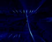 Project_Worldwide.mov